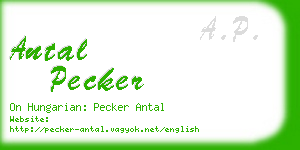 antal pecker business card